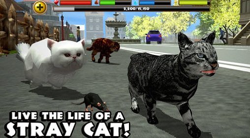 流浪猫模拟器中文版手机版下载V1.3图3: