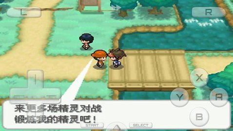 口袋妖怪黑2694版金手指下载v4.6.4图片1