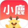 小鹿盒子