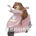 我创死你表情包