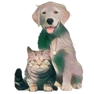 猫语狗语翻译器