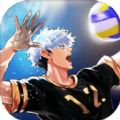 TheSpike排球高手全人物版