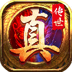真传世