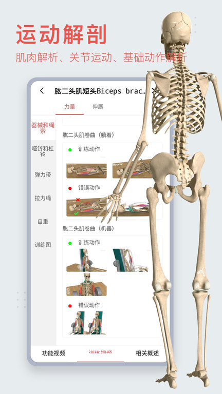 3d人体模型图1