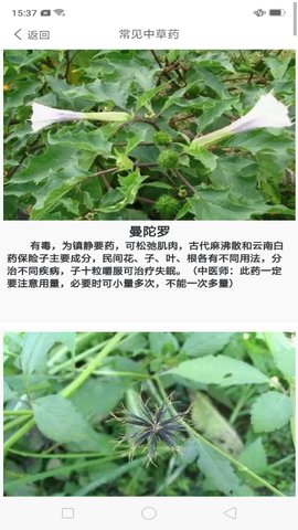 中药养生记软件最新版下载?2: