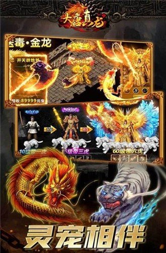 大唐真龙跨服打金版v1.85下载图3: