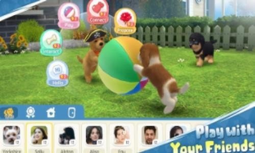 梦幻小狗最新版手游v1.0.3下载图3: