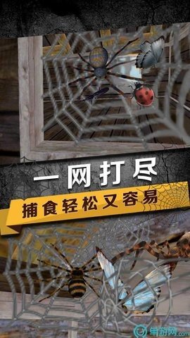 蜘蛛生存模拟器最新版下载图片1
