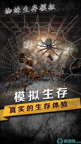 蜘蛛生存模拟器最新版下载图2: