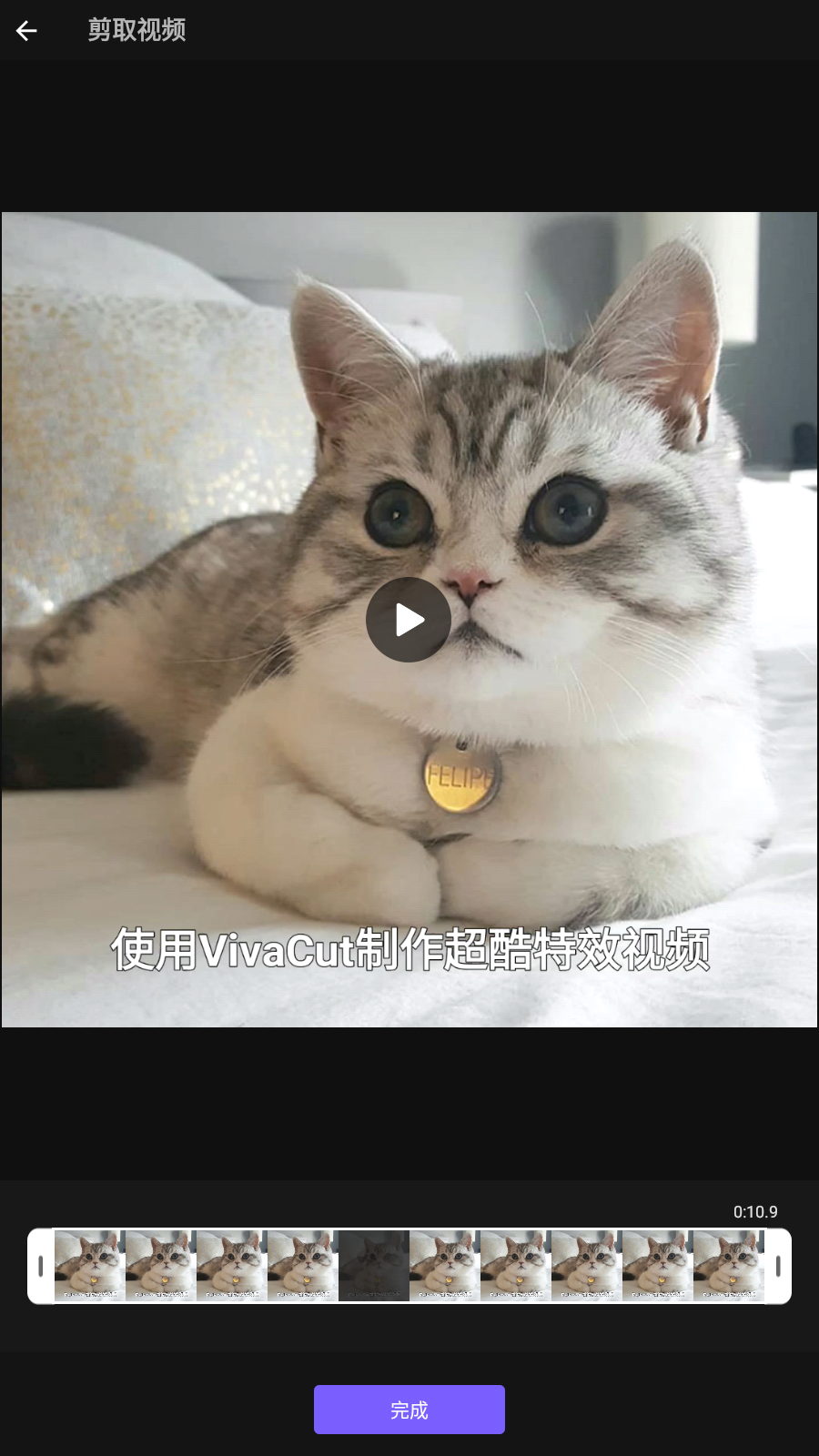 VivaCut图3