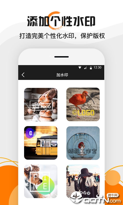 水印大师图2