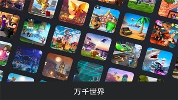 罗布乐思正版手游国际服v2.554.501下载图3: