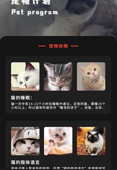 喵喵之家图3