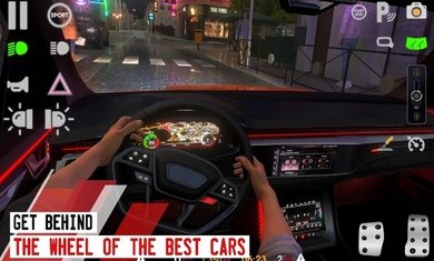 Driving School Sim图1