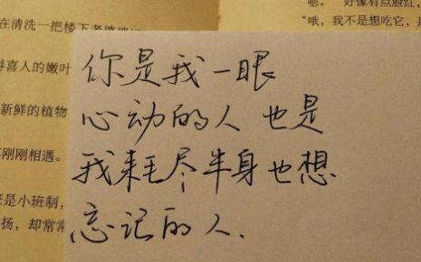 20211202对称日图片高清版v1.0下载?1: