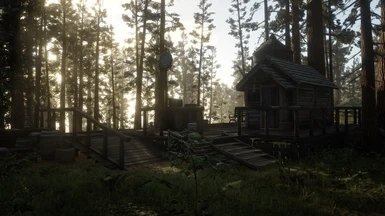 荒野大镖客2新奥斯汀mod下载安装v1.0.0图3:
