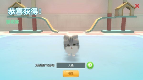 养了个猫免广告版正版下载vT.0.19.38图3: