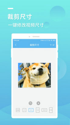 蓝莓去水印安装下载?2: