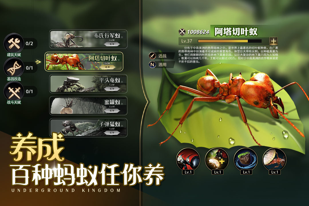 小小蚁国小米版手机版下载v1.58.0图4: