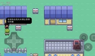 口袋妖怪究极绿宝石修改器手机版下载v0.1.9图2: