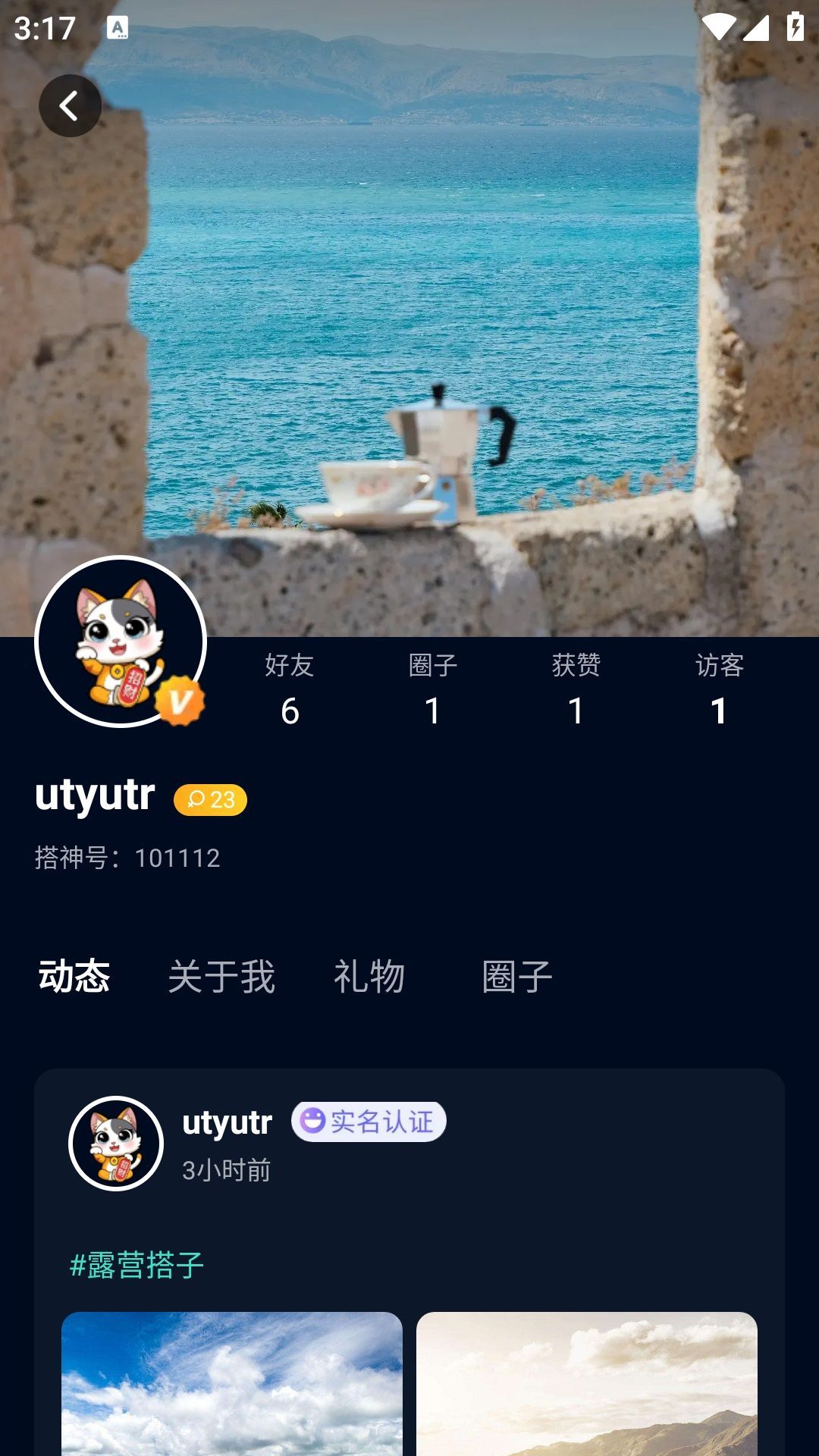 搭神软件最新版?2: