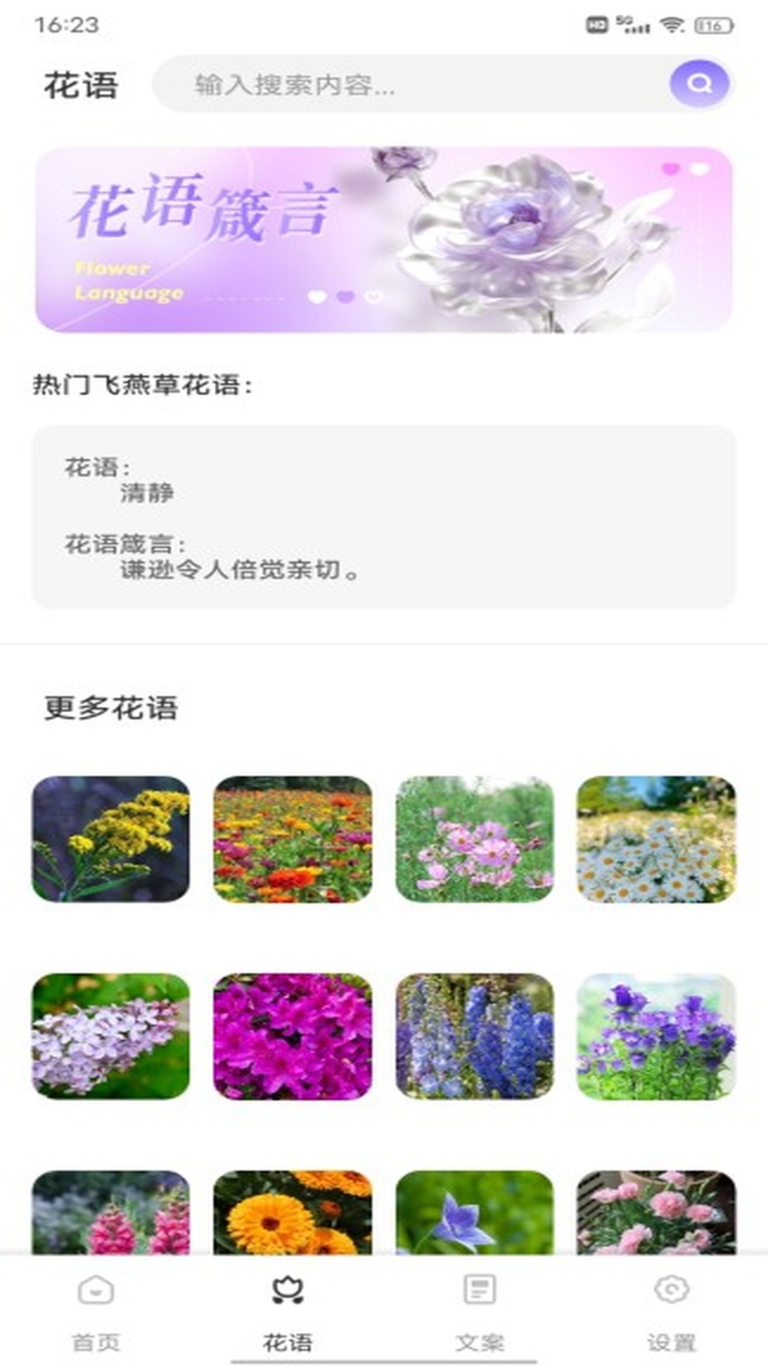 洽谈M app图3