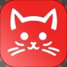 猫眼看看