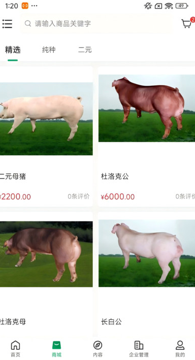 中育种猪软件安卓版图片1