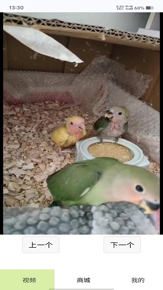 好玩红包队软件app?2: