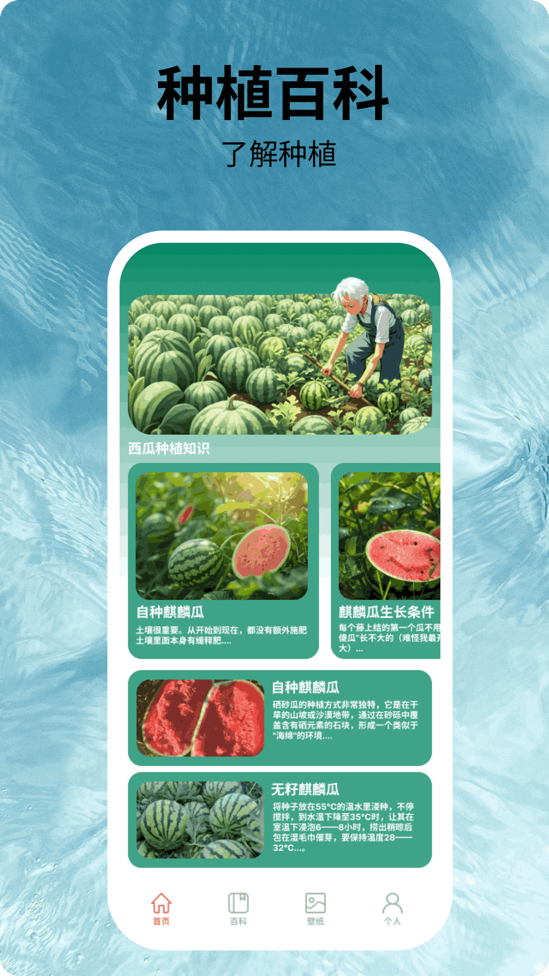 福运西瓜app最新版?3: