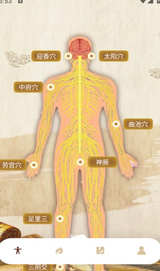 接住罐罐安卓版?3: