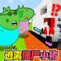 小猪家园奇闻安卓版