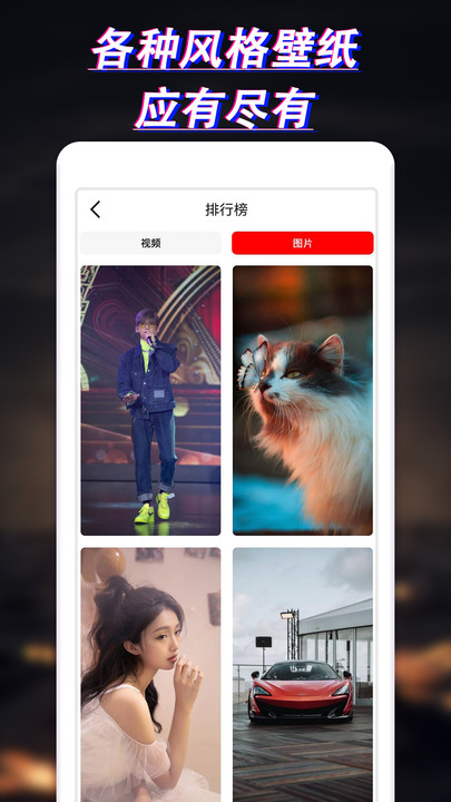 布丁壁纸大全安卓版下载图片1