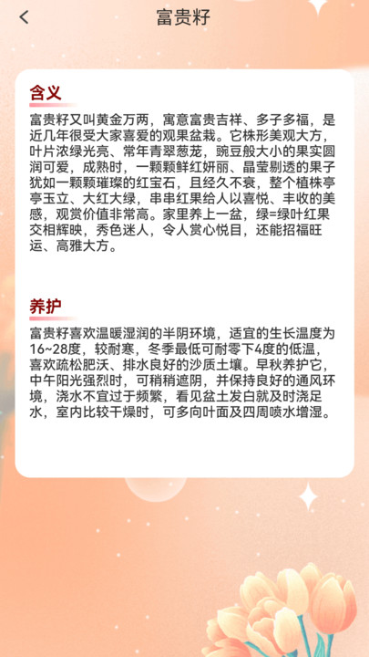 花开富贵特效软件手机版图片1