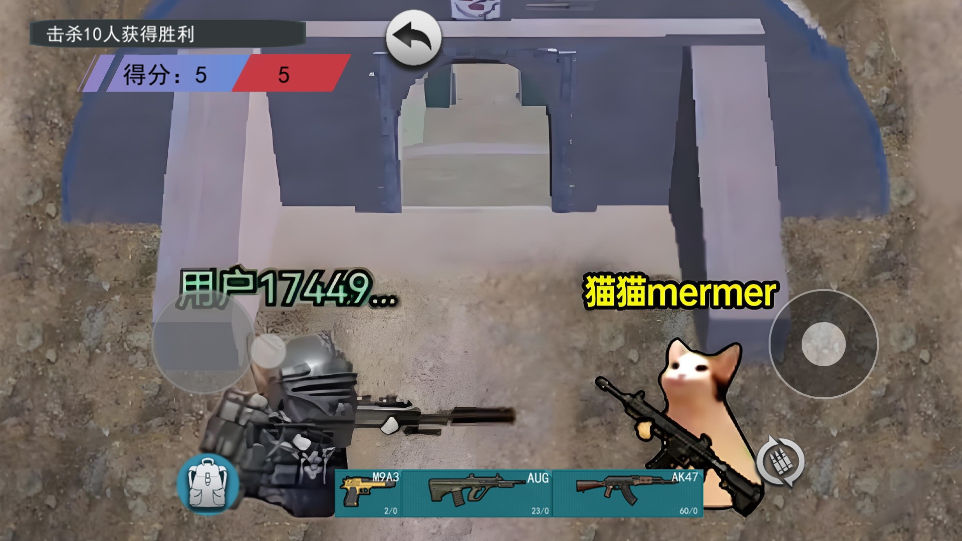 猫猫快来吃鸡游戏安卓版图片1