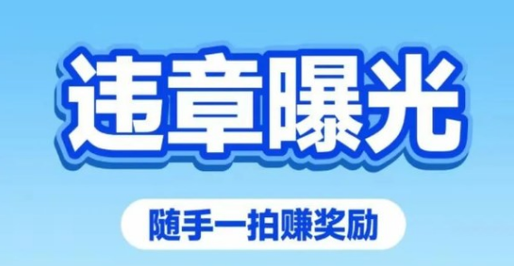 车拍拍安卓版图片1