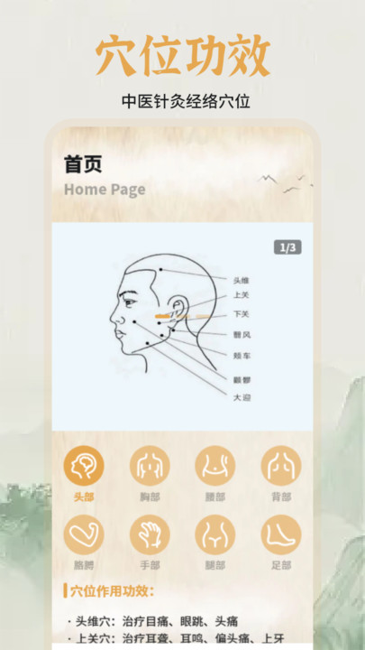 中医经络穴位图谱软件手机版?1: