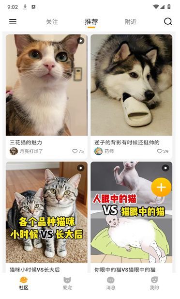 i宠家园手机版下载?2: