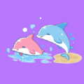 海豚圈圈交友