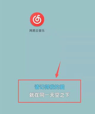 网易云音乐2025最新版下载安装图片7