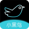 小黑鸟app官方版 v1.0.2