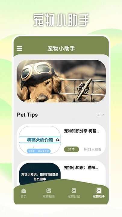 爱游猫助手app手机版图片1