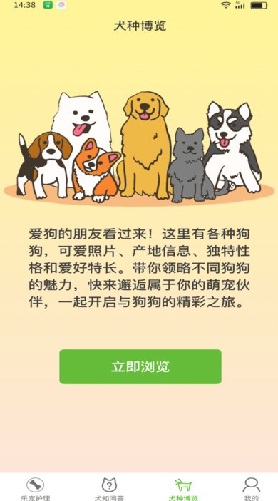 乐狗刷刷安卓版?1: