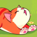 猫咪解压翻译馆软件