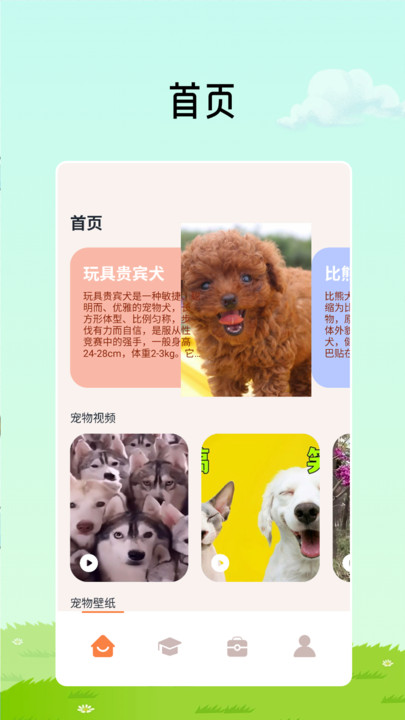 猫咪解压翻译馆手机版app?1: