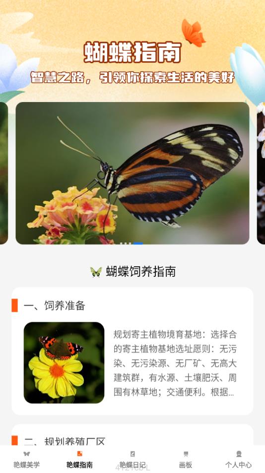 艳蝶乐刷软件手机版?3: