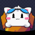 猫王向上