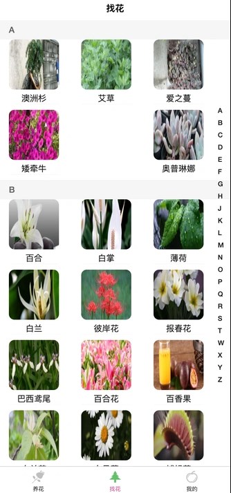 绿植时光吧免费版?1: