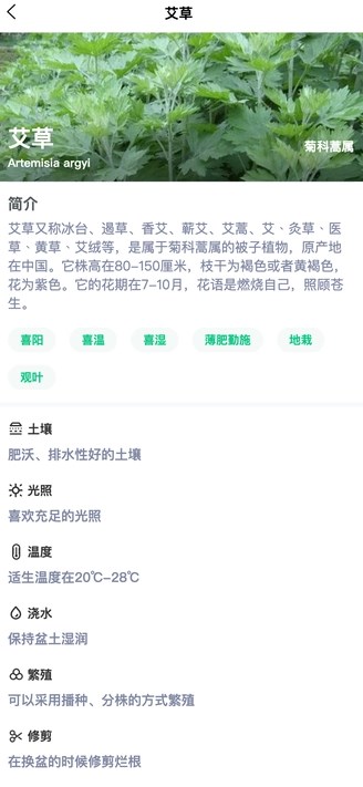 绿植时光吧免费版?2: