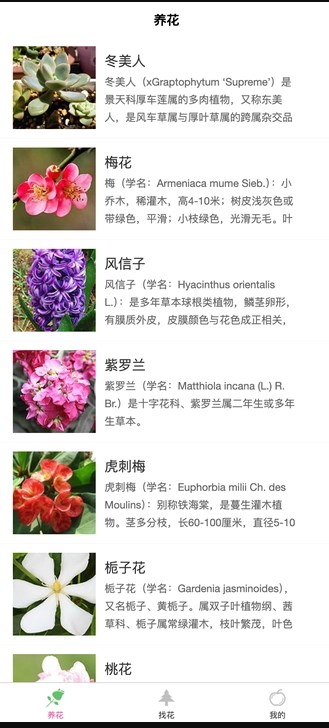 绿植时光吧免费版?3: